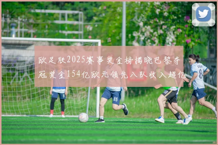 欧足联2025赛事奖金榜揭晓巴黎夺冠奖金154亿欧元领先八队收入超亿