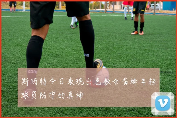 斯玛特今日表现出色教会黄蜂年轻球员防守的真谛