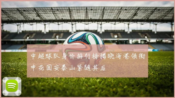 中超球队身价排行榜揭晓海港领衔申花国安泰山紧随其后